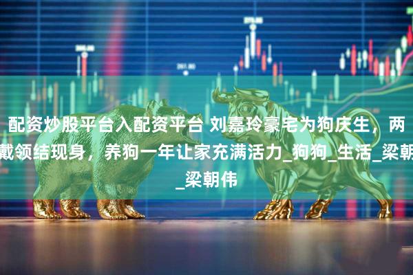 配资炒股平台入配资平台 刘嘉玲豪宅为狗庆生，两只戴领结现身，养狗一年让家充满活力_狗狗_生活_梁朝伟