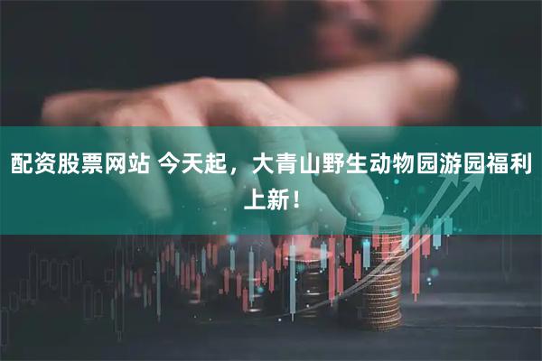 配资股票网站 今天起，大青山野生动物园游园福利上新！