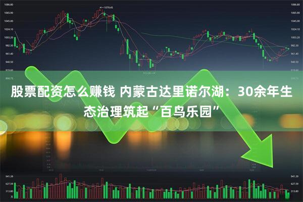 股票配资怎么赚钱 内蒙古达里诺尔湖:30余年生态治理筑起“百鸟乐园”