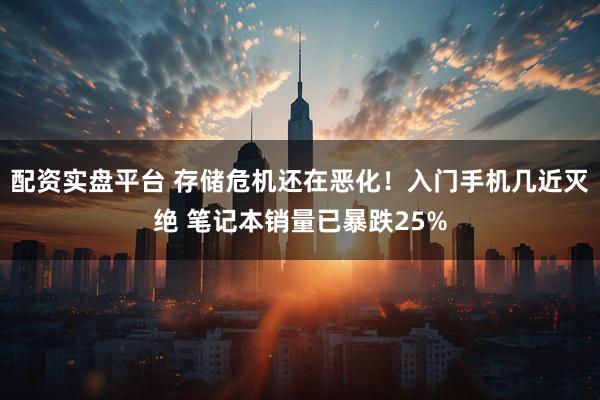 配资实盘平台 存储危机还在恶化！入门手机几近灭绝 笔记本销量已暴跌25%